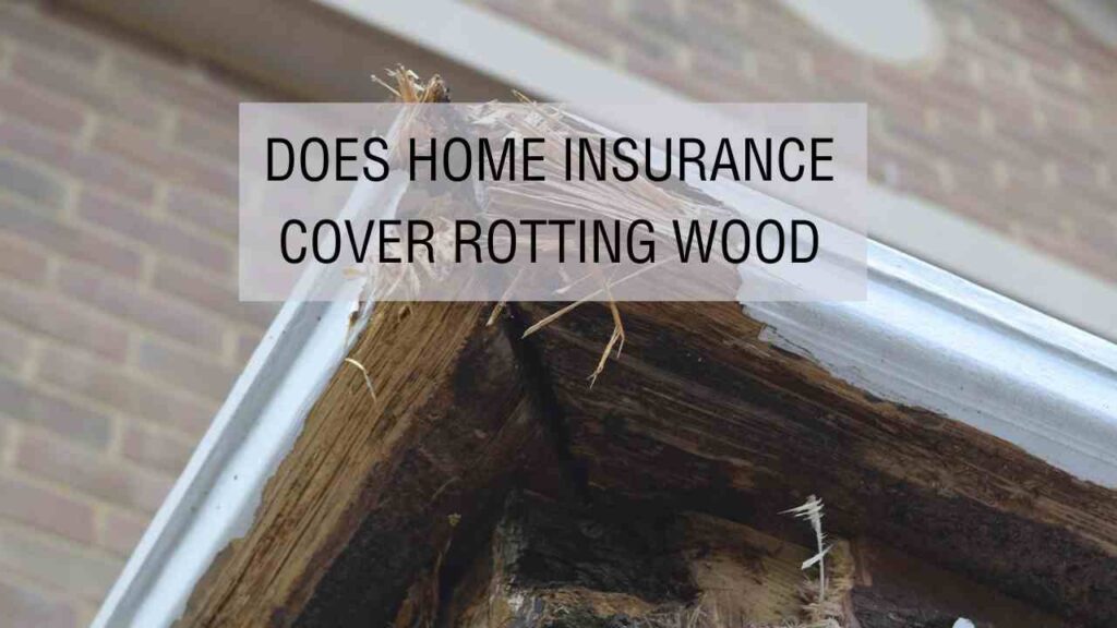 Does Homeowners Insurance Cover Rotting Wood?