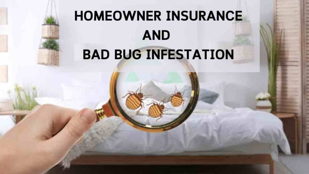 Does Homeowners Insurance Cover Bed Bug Infestation?