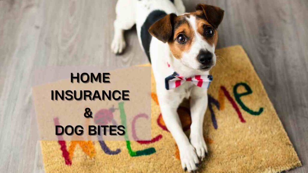 Does Homeowners Insurance Cover A Dog Bite?