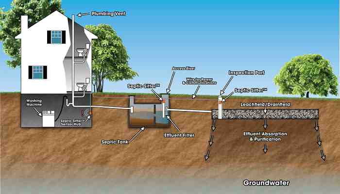 How septic system works