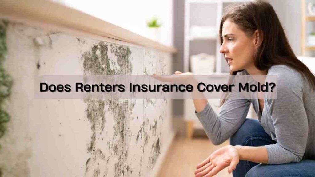 Does Renters Insurance Cover Mold?